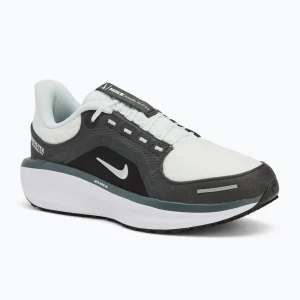 Buty do biegania męskie Nike Winflo 11 GORE-TEX anthracite/black/photon dust/metallic silver