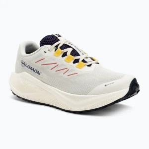 Buty do biegania męskie Salomon Aero Blaze 3 Gravel GTX vanilla ice / astral aura / lemon Beżowy