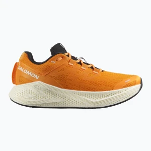 Buty do biegania męskie Salomon Aero Glide 3 turmeric/white/black