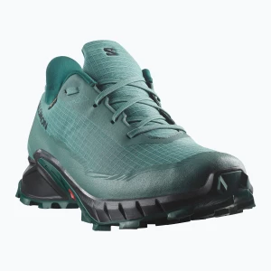 Buty do biegania męskie Salomon Alphacross 5 GTX north atlantic/black/sea moss