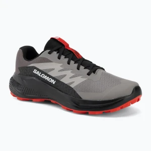 Buty do biegania męskie Salomon Alphaglide cloudburst / black Szary