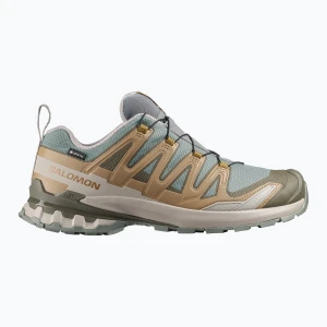 Buty do biegania męskie Salomon XA Pro 3D V9 GTX sedona sage / brilliant olive Szary