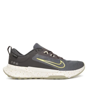 Buty do biegania Nike Juniper Trail 2 Gtx V2 HM9734 200 Szary