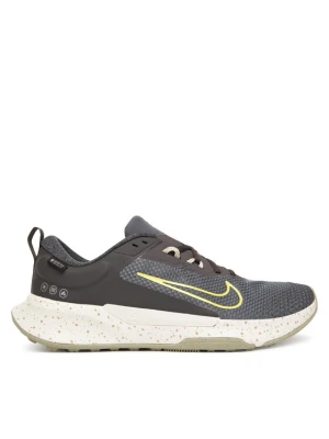 Buty do biegania Nike Juniper Trail 2 Gtx V2 HM9734 200 Szary