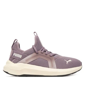 Buty do biegania Puma Softride Enzo 5 Wn S 311213 14 Fioletowy