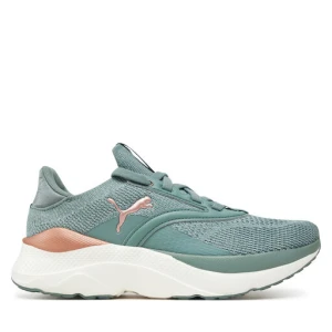 Buty do biegania Puma Softride Mayve Wn s 310160 14 Zielony