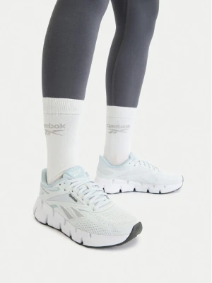 Buty do biegania Reebok EO-ZIG DYNAMICA 6 100244516 W Szary