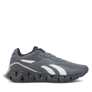 Buty do biegania Reebok Zig Dynamica 4 Adventure 100074699 Szary