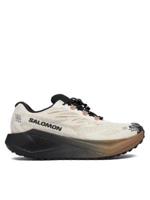 Buty do biegania Salomon Aero Blaze 4 gtx GORE-TEX L45403200 Beżowy