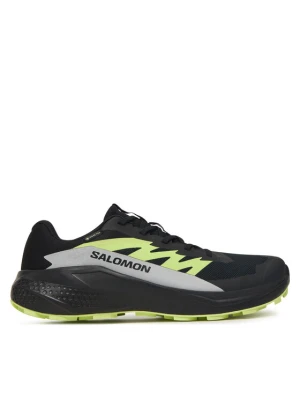 Buty do biegania Salomon Alphaglide GORE-TEX L47802000 Czarny