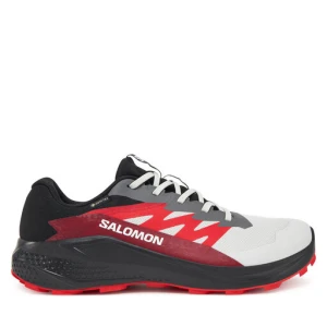 Buty do biegania Salomon Alphaglide Gore-Tex L47802200 Szary