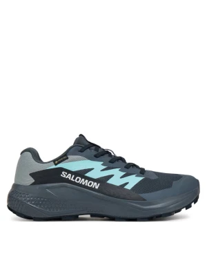 Buty do biegania Salomon Alphaglide Gore-Tex L47802500 Szary