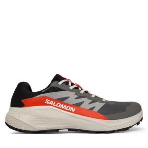 Buty do biegania Salomon Alphaglide Gore-Tex L47975300 Szary