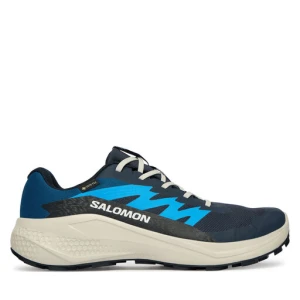 Buty do biegania Salomon Alphaglide Gtx L47975100 Niebieski