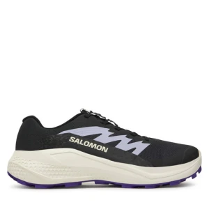 Buty do biegania Salomon Alphaglide L47801800 Szary