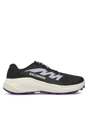 Buty do biegania Salomon Alphaglide L47801800 Szary