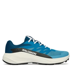 Buty do biegania Salomon Alphaglide L48000400 Niebieski