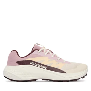 Buty do biegania Salomon Alphaglide W L49092800 Kremowy