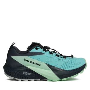 Buty do biegania Salomon Sense Ride 5 Gore-Tex L47216000 Niebieski