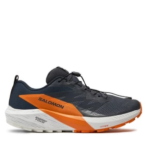 Buty do biegania Salomon Sense Ride 5 Gore-Tex L47459400 Szary