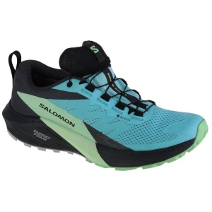 Buty do biegania Salomon Sense Ride 5 Gtx W 472160 niebieskie