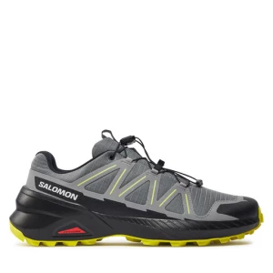 Buty do biegania Salomon Speedcross Peak L47602600 Szary