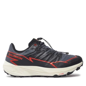 Buty do biegania Salomon Thundercross Gore-Tex L47684500 Szary