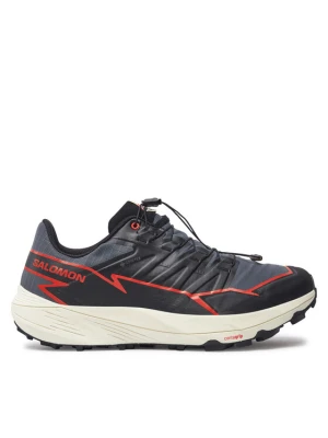 Buty do biegania Salomon Thundercross Gore-Tex L47684500 Szary