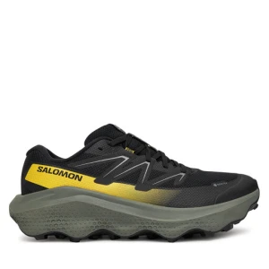 Buty do biegania Salomon Ultra Flow 2 Gore-Tex L47883200 Czarny