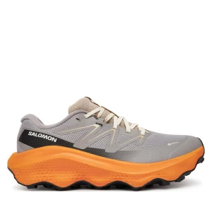 Buty do biegania Salomon Ultra Flow 2 Gore-Tex L47884200 Szary
