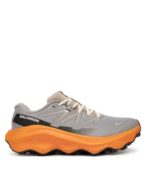 Buty do biegania Salomon Ultra Flow 2 Gore-Tex L47884200 Szary
