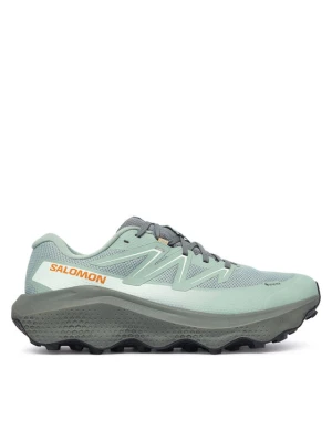 Buty do biegania Salomon Ultra Flow 2 Gtx GORE-TEX L45473900 Zielony
