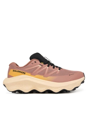 Buty do biegania Salomon Ultra Flow 2 Gtx L47884500 Różowy