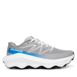 Buty do biegania Salomon Ultra Flow 2 L47883400 Szary