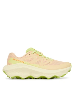 Buty do biegania Salomon Ultra Flow 2 L47997300 Beżowy