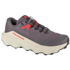Buty do biegania Salomon Ultra Glide 3 L47742100 szare