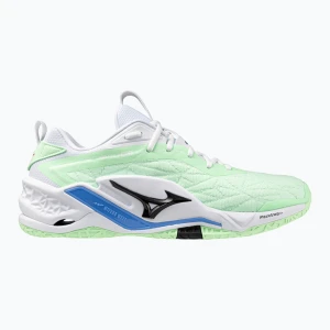 Buty do piłki ręcznej Mizuno Wave Stealth Neo 2 neo mint/black/froniter blue