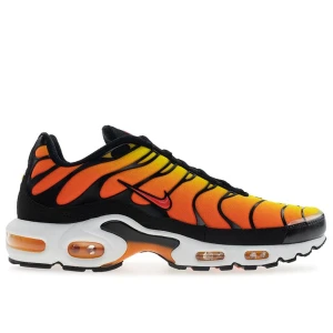 Buty męskie Nike Air Max Plus HF0552-001 - multikolor
