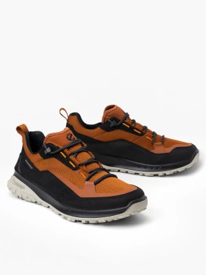 Buty outdoorowe męskie brązowe ECCO ULT-TRN M LOW WP