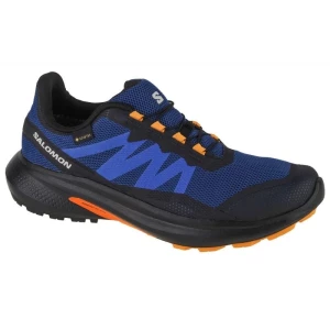 Buty Salomon Hypulse Gtx M 415961 niebieskie