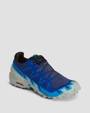 Buty trailowe męskie Salomon Speedcross 6 GTX