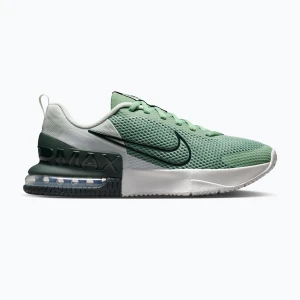Buty treningowe męskie Nike Air Max Alpha Trainer 6 steam/spruce aura/off white/black spruce