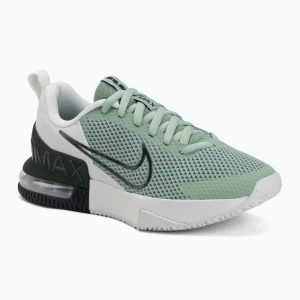 Buty treningowe męskie Nike Air Max Alpha Trainer 6 steam/spruce aura/off white/black spruce