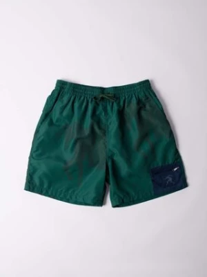 by Parra szorty Short Horse Shorts kolor zielony wzorzyste 51235