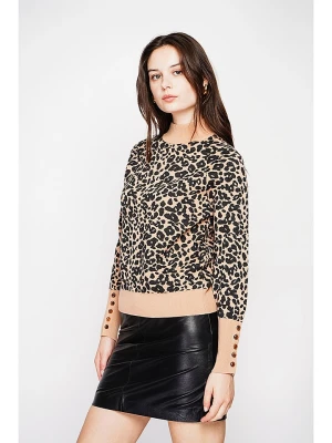 C& Jo Sweter w kolorze beżowo-czarnym rozmiar: 36