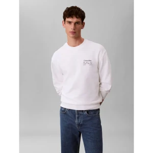 Calvin Klein Jeans Bluza 350TERRY | Regular Fit