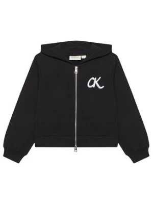 Calvin Klein Jeans Bluza IG0IG02969 D Czarny Regular Fit