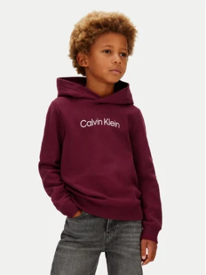 Calvin Klein Jeans Bluza IU0IU00679 Fioletowy Regular Fit