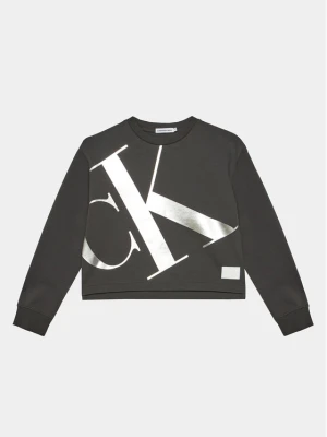 Calvin Klein Jeans Bluza Mercury Monogram IG0IG02482 Szary Regular Fit