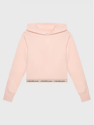 Calvin Klein Jeans Bluza Punto Logo IG0IG01874 Różowy Loose Fit